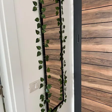 アパート Albu Story By The Sea コスティネシュティ