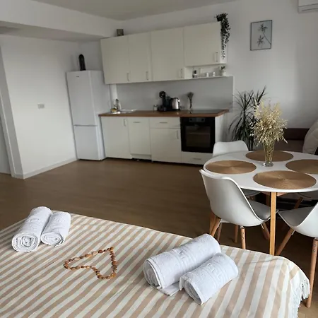 Albu Story By The Sea アパート コスティネシュティ