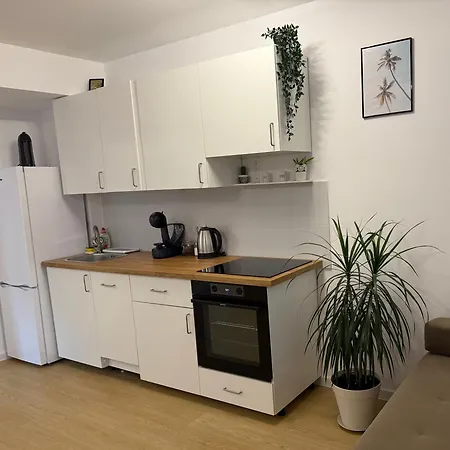 Albu Story By The Sea *