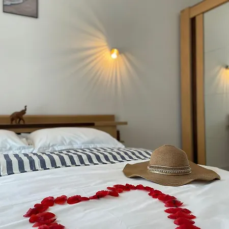 Albu Story By The Sea * Costinesti