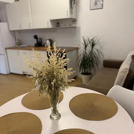 Albu Story By The Sea * Costinesti