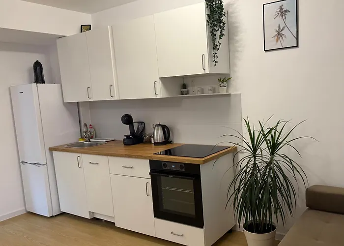 Albu Story By The Sea *